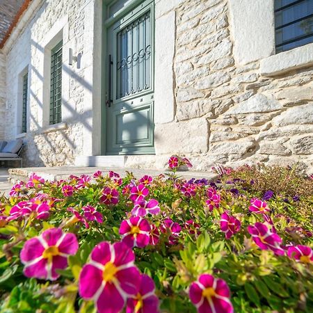 Hibiscus Villa Theologos  Екстериор снимка